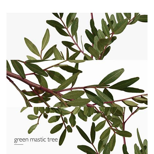 HERMÈS Ein Garten im Mittelmeer - Eau de Toilette 3346131210022 HERMÈS Ein Garten im Mittelmeer - Eau de Toilette 3346131210022